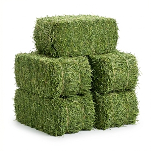 Heno de Alfalfa de Grado Alimenticio para Animales, Heno Seco al Sol de Alta Calidad en Pacas para Alimentación de Caballos, Ganado, Ovejas y Cabras, Venta al Por Mayor, Fabricante - Product Image 1