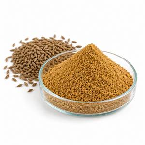 Extracto de Semilla de Comino Certificado, en Polvo, Ingrediente Derivado de Especias Premium para el Bienestar Digestivo - Product Image 4