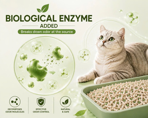 OEM White Tea Soybean <b>Cat</b> <b>Litter</b> 2.5kg | High Absorption, Superior Odor Control & Custom Branding - Product Image 3
