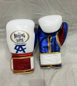 No Boxing No Life Premium Cowhide Leather <b>Hook</b> And Loop Boxing Gloves Adjustable Wrist Strap - Product Image 1