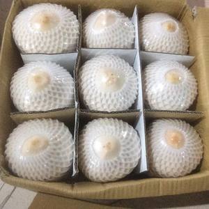 COCO JOVEN FRESCO DIAMANTE/COCO ABIERTO FÁCIL DE VIETNAM - Product Image 5