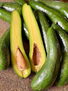 Avocat congelé 100% naturel |   Lisse et Frais |   Fournisseur direct d'usine au Vietnam - Product Image 2