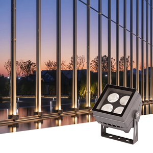 Projecteur LED compact pour façade |   R-lite Inde |   Éclairage architectural extérieur |   Lumière murale étanche IP65 pour usage extérieur - Product Image 3