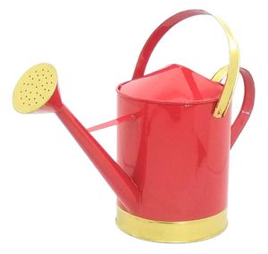 Arrosoir en métal pour extérieur, pour jardin, avec revêtement résistant aux intempéries et structure en acier robuste - Product Image 1