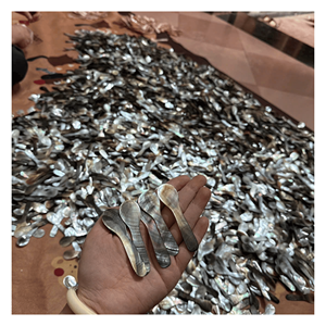 Best price Mother Of Pearl Spoon Handcrafted <b>shell</b> spoon for coffee tea stirring and restaurant tabletop presentation Vietnam - Product Image 3