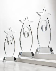 Medalla de Estrella de Acrílico y Bronce de Primera Calidad, Premio Duradero para Logros Destacados, Exhibición de Medallas para Eventos de Reconocimiento - Product Image 4