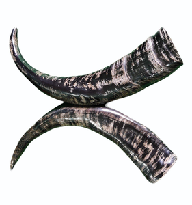 Buffalo Horn Decorative Modern <b>Decoration</b> Double Natural Shape Long Buffalo Horn <b>Decoration</b> Pair - Product Image 1
