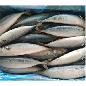 ปลาแมคเคอเรลแปซิฟิกแช่แข็งทั้งตัว / ปลาแมคเคอเรลสำหรับส่งออก - Product Image 4