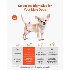 Pannolini Monouso Super Assorbenti per Cani Maschi, Fascia Addominale a 360 Gradi Anti-Perdita con Indicatore di Umidità, Fascia Protettiva per Cani - Product Image 2
