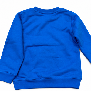 Sweat-shirt à col rond 100 % coton personnalisé pour bébés et enfants, motif animal de dessin animé, imprimé lettres COZY, pull d'hiver, service OEM/ODM - Product Image 3