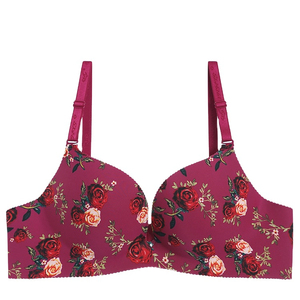 Sujetador Bralette Ajustable de Alta Calidad 2026, Sujetador Sin Costuras para Mujer, Ropa Interior con Efecto Push-Up - Product Image 5