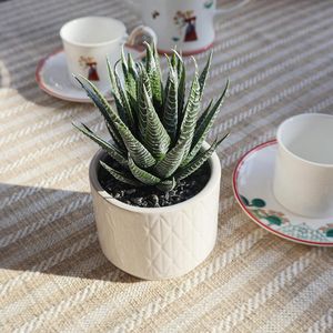 Vaso in Ceramica da 6,7 Pollici ad Alto Potenziale Decorativo per Casa, Ufficio, Scrivania, Bagno, Scaffale Boho - Pianta Artificiale di Aloe Succulenta - Product Image 3