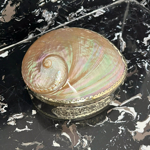 Luxury Iridescent Shell Jewelry <b>Box</b> Handmade Oval Decorative <b>Keepsake</b> Case - Product Image 1
