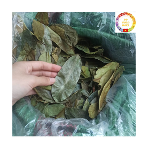 Té Desintoxicante Herbal de Moda |   Proveedor de Hojas de Graviola Naturales al por Mayor - Product Image 1