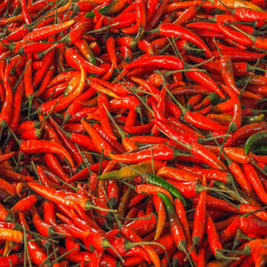 Piment rouge séché de qualité supérieure, entier, séché à l'air (AD), sans tige, standard d'exportation, épices simples, herbes, FitTree - Product Image 5