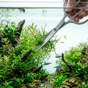 Ciseaux aquatiques de 6,5 pouces, ciseaux d'aquarium pour aquascaping, directement de l'usine - Product Image 1