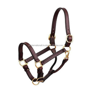Licol de cheval de luxe en cuir de haute qualité, canal vide, avec couronne anatomique, doux et rembourré, matériel en or ROSE - Product Image 3