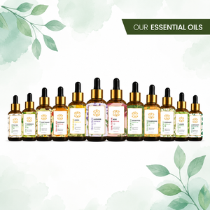 Aceite Esencial de Romero Destilado al Vapor de Alta Calidad, 30 ml, para Cuidado del Cabello, Mezclas para Masajes, Cuidado de la Piel, Fabricante al por Mayor, OEM, SQIN Botanicals - Product Image 4