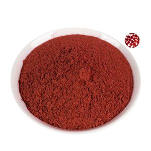 OEM ODM Premium Astaxanthin Extract 5% 100% Pure Natural Astaxanthin Powder for Cosmetic & Food Applications from India - Product Image 2