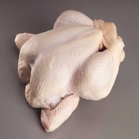 Poulet Congelé de Haute Qualité en Gros à Prix Abordable, Poulet Entier et Pièces Congelées Halal, Poulet Entier Congelé Premium Halal