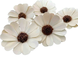 Diffuseur d'arômes de fleurs de Sola fait main de haute qualité Advaith Impex pour la fragrance d'intérieur et les décorations de remise de diplôme (Modèle 008) - Product Image 2