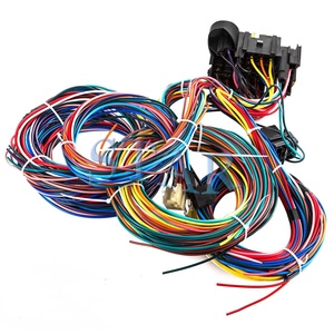 Tùy Chỉnh Ô Tô Dây Khai Thác Phổ 21 Mạch Dây Khai Thác Cho Chevrolet Mopar Ford Jeep Hotods - Product Image 4