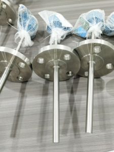 인기 추천 <200mm PT100/PT1000 RTD 센서 고정밀 온도 프로브 IP65 OEM 맞춤형 - Product Image 2