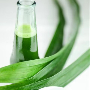 Poudre de Pandan à Base de Plantes - Colorant Alimentaire Naturel Végétalien pour l'Exportation Mondiale - Meilleure Vente - Product Image 1