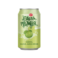 VEDAN EARTH POWER GUAVA JUICE DRINK drankjes