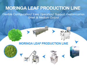 สายการผลิตเครื่องบดผงมันสำปะหลังมะรุมใบมันสำปะหลังอัตโนมัติเครื่องผลิตชากิโลกรัม/ชั่วโมงอุตสาหกรรม - Product Image 3