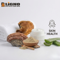 Poudre séchée de Phellinus Linteus LiGNO SH02 |   Santé de la peau et qualité alimentaire