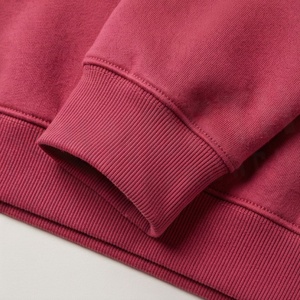 Plain Pullover Hoodie Ladies Hooded <b>Top</b> Casual <b>Thermal</b> Customized High Quality Women Apparel Sweatshirt Clothing Set - Product Image 6