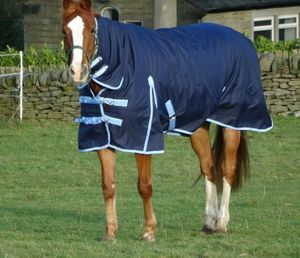 Couverture d'hiver pour cheval, marine, 200g et 350g de rembourrage, poids moyen et lourd - Product Image 1