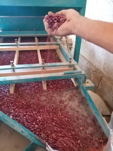 Soja Negra CREKS al por Mayor, 25 kg, Seca, Natural, Auténtica, Calidad Garantizada, Precio Bajo, 24 Meses de Vida Útil - Product Image 5