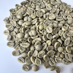Granos de Café Verde Arábica de Vietnam SCR13 SCR16 SCR18, Totalmente Lavados, Grado Premium, Crudos, Sin Tostar, a Granel, Venta al por Mayor B2B / ANNA DO - Product Image 5