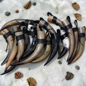 Polished <b>Buffalo</b> <b>Horn</b> Natural Shape Rustic Home Decoration Durable Crafted <b>Horns</b> At Best Price - Product Image 5