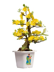 Hexagone Forme Classique Blanc Nylon Sac Bénédiction Pot De Fleur pour Suspendre pour Plantes Vertes Fleurs Non Enduit Plancher Carton Boîte - Product Image 4