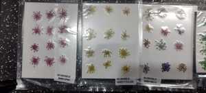 Flores Secas Naturales Prensadas, Pequeños Fragmentos Florales para Arte de Uñas, Resina, Manualidades, Flores y Plantas Decorativas - Product Image 4