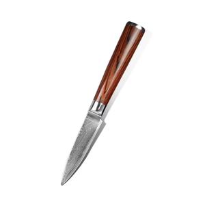 Couteaux de chef japonais de luxe en acier Damas, 5 pièces, avec manche personnalisé, multi-usages et écologiques - Product Image 5