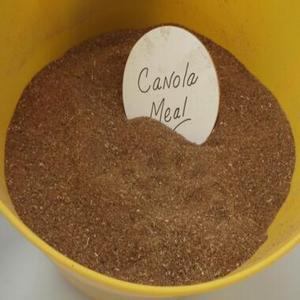 Farine de colza 100 % biologique de qualité supérieure en provenance de Thaïlande - Utilisations multiples disponibles à la vente - Product Image 2