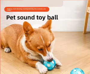 Juguete Interactivo Ecológico para Mascotas, Pelota Flotante de TPR Resistente para Perros, Autoentretenimiento, Alivio del Aburrimiento, Diseño Moderno - Product Image 2