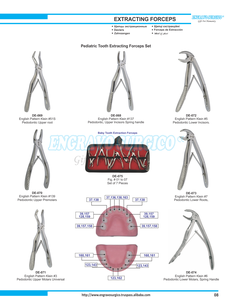 Fórceps de Extracción Dental de Calidad Profesional en Patrón Inglés, Nuevo, Cantidad a Granel, Bajo Precio, Base de Instrumentos Quirúrgicos - Product Image 6