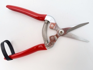 FUJIYA-Tijeras de jardinería de acero inoxidable, tijeras rectas para recoger frutas - Product Image 6