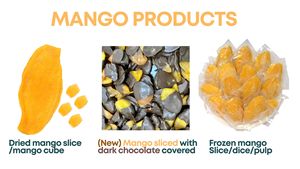 Dark Chocolate Dipped Dried Soft Mango Slices <b>Sweet</b> Tropical Fruit Snack - Product Image 5