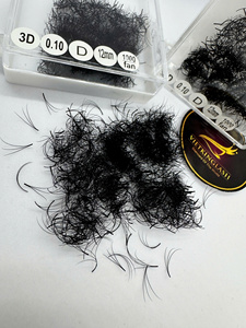 Extensiones de Pestañas 3D Preformadas de 12 mm, Pestañas de Fibra Sintética Hechas a Mano de 0.1 mm para Uso Profesional y en Salones de Belleza - Product Image 5