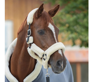 Cabestros de Alta Calidad Personalizables de Nailon y PP con Forro de Felpa Suave para Caballos, Ajustables, Duraderos para Exteriores - Product Image 1