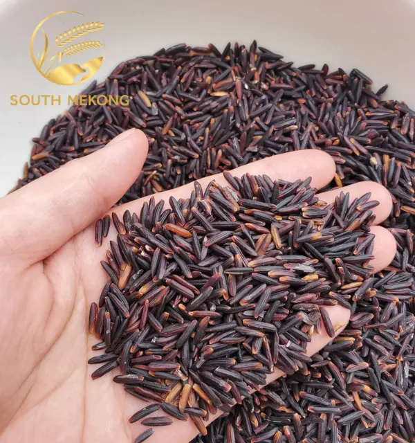 HOT SELLING AND BEST QUALITY HEALTHY ORGANIC LONG GRAIN BLACK RICE - WHATSAPP: +84 358211696