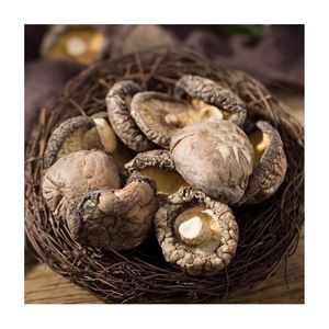 TRENDING NOW Vacuum Fried Shiitake Mushroom For Practical Gourmet Snack Processing And Hotel Catering Supply Unit - Product Image 4