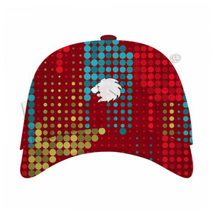 New Arrival Premium Quality Sports Hats Latest Design Sports Hats Custom Logo New Design Sports Hats - Product Image 3