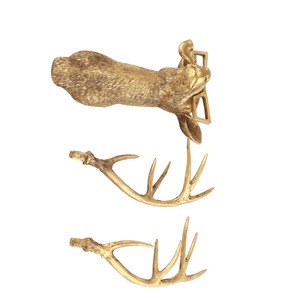Vente en gros d'antlers de cerf roux de haute qualité, emballage en vrac, origine Royaume-Uni, pour la décoration intérieure - Product Image 4